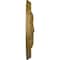 Ekena Millwork Amelia Ceiling Medallion (Fits Canopies up to 4 1/8"), Hand-Painted Gold, 15 3/4"OD x 5/8"P CM16AMGLS - alternate 3